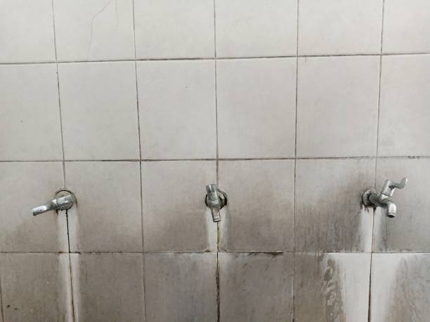 Best Water damage cleanup near me  in Newark, NY