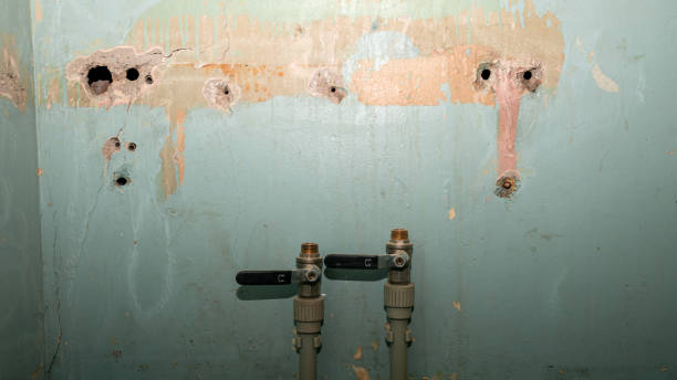 Water damage restoration mold remediation in Newark, NY